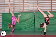2014 Gimnastyka